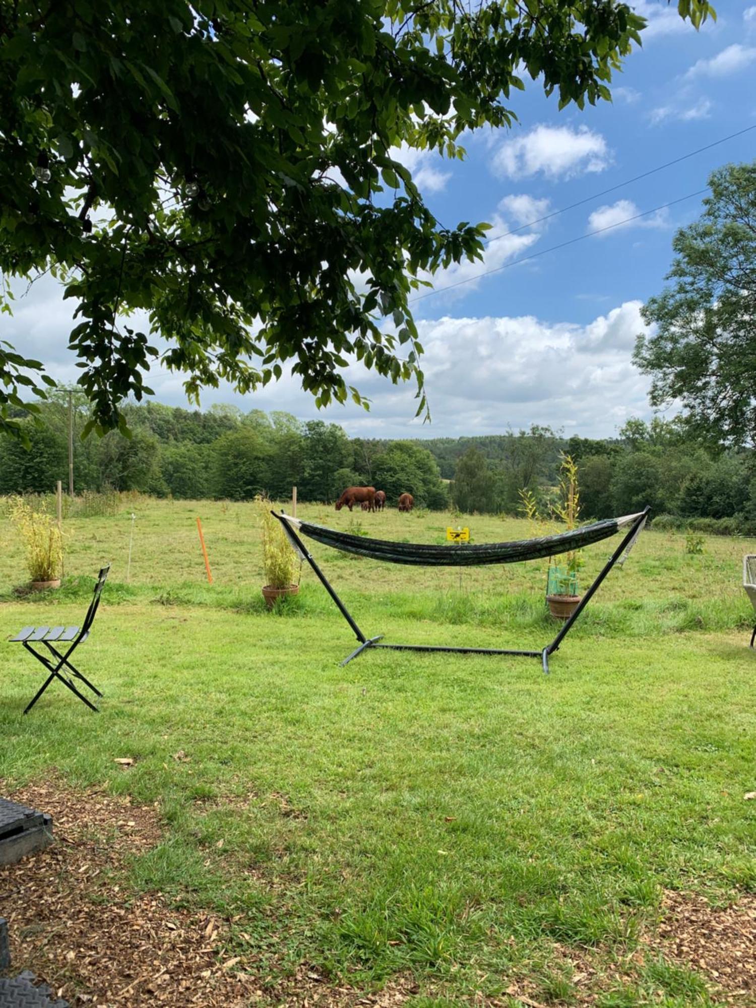 American School Bus Retreat With Hot Tub In Sussex Meadow Uckfield Eksteriør bilde