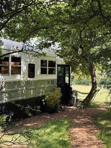 American School Bus Retreat With Hot Tub In Sussex Meadow Uckfield Eksteriør bilde